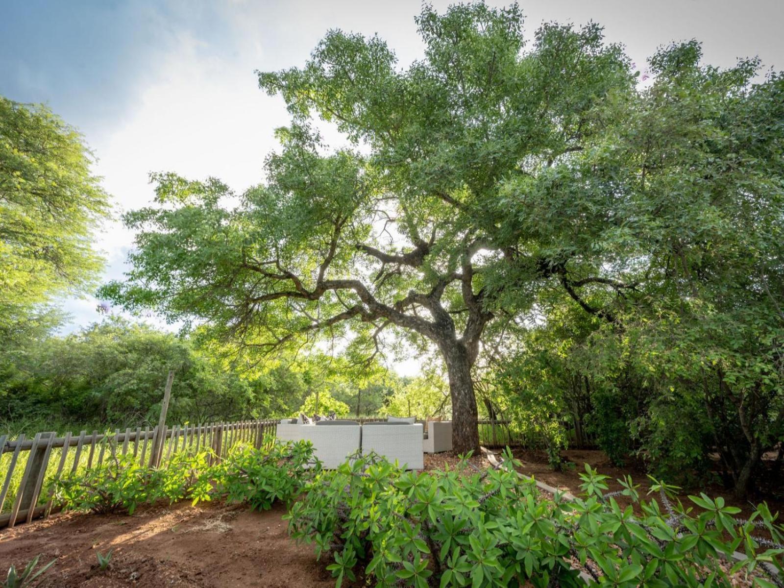 Ekhaya Bush Lodge Hoedspruit Dış mekan fotoğraf