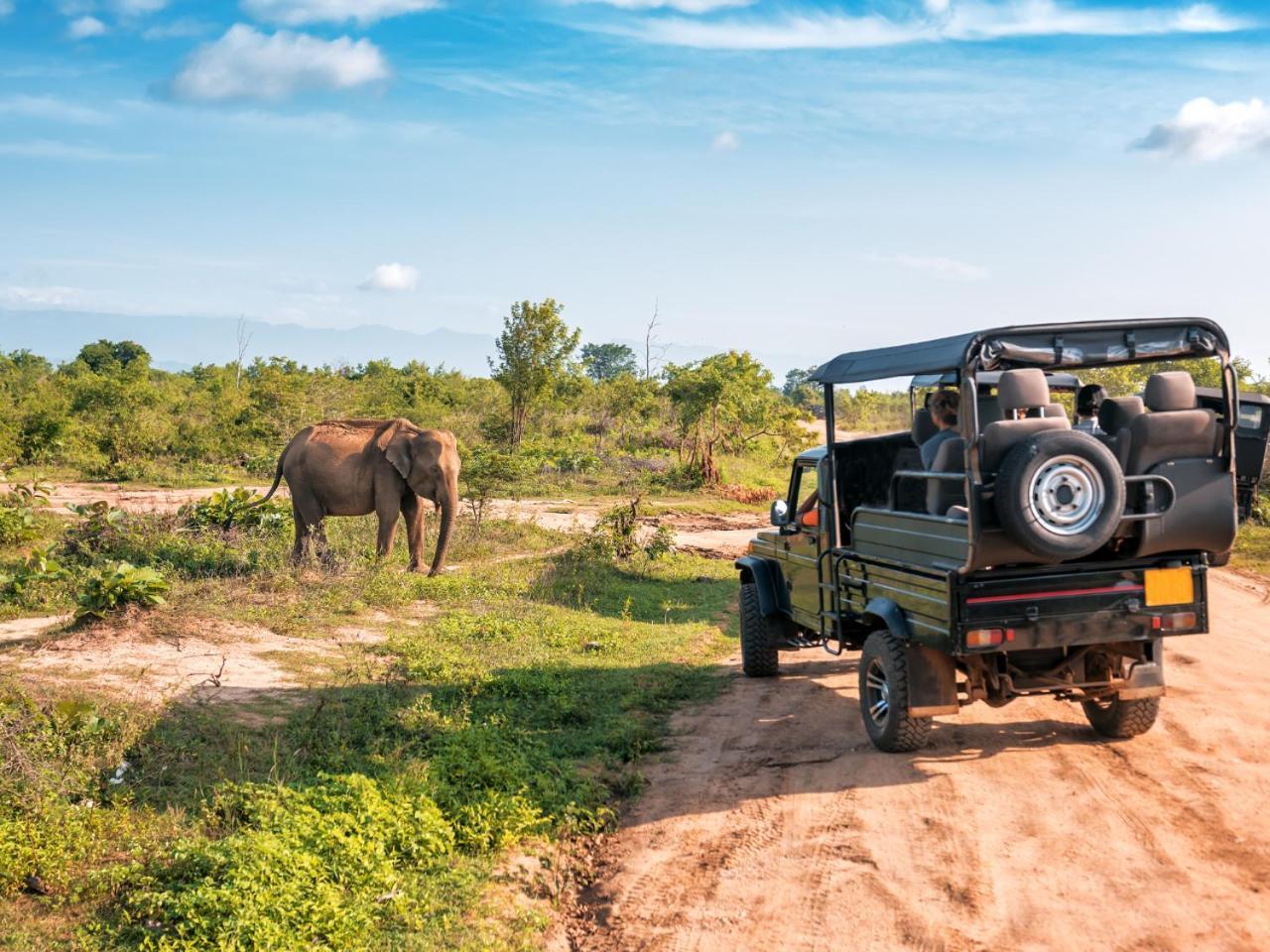 Ekhaya Bush Lodge Hoedspruit Dış mekan fotoğraf