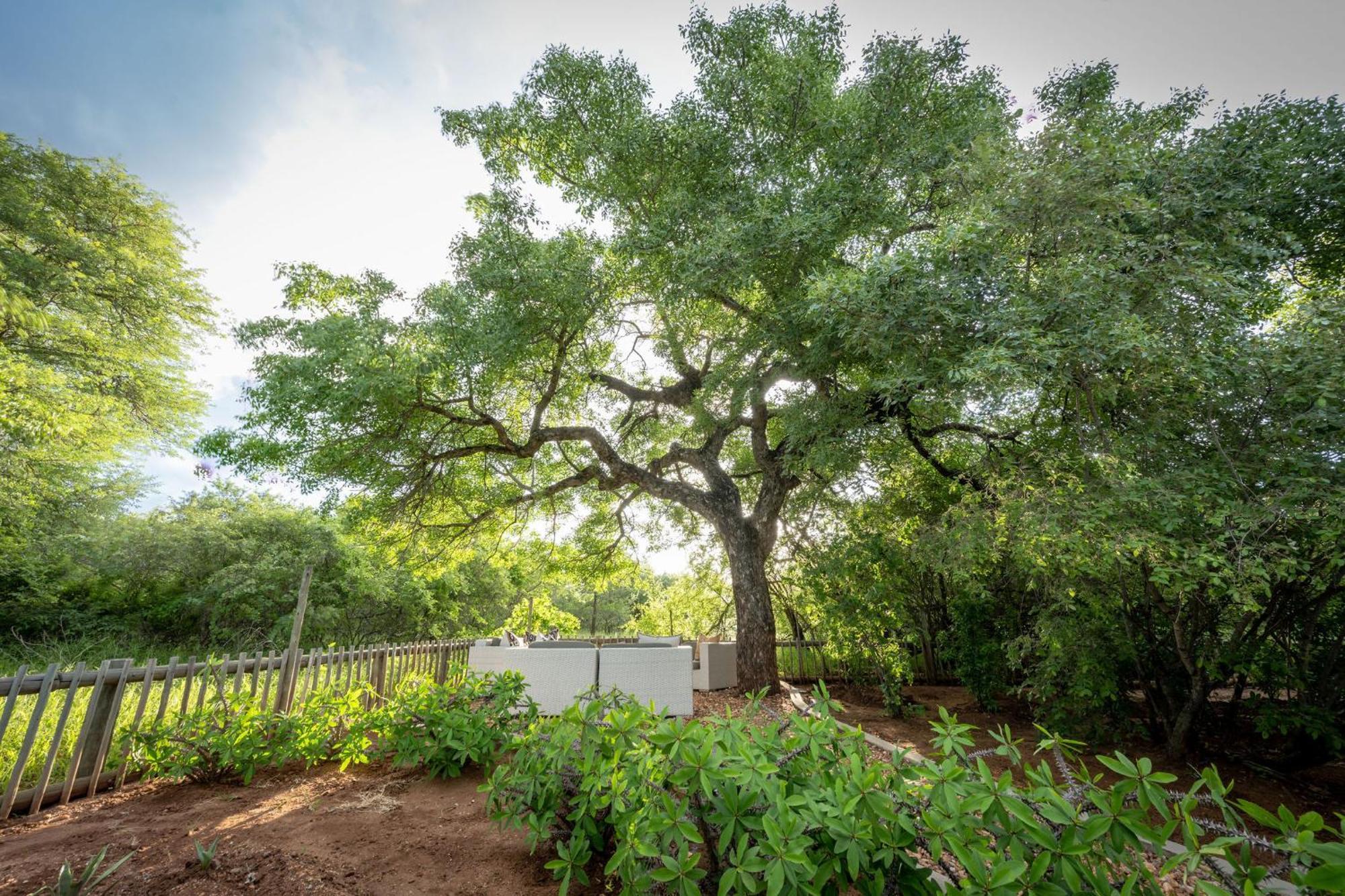Ekhaya Bush Lodge Hoedspruit Dış mekan fotoğraf